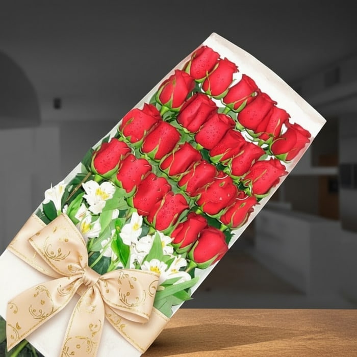 Caja de 24 rosas rojas frescas con gotas de rocío, lazo dorado y flores blancas de acompañamiento, sobre un fondo elegante de