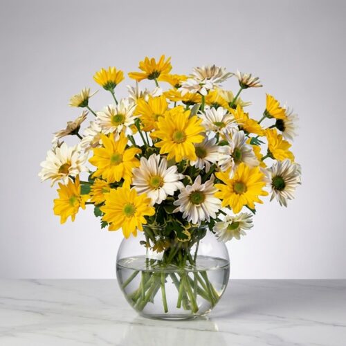 Arreglo floral Agatha con margaritas amarillas y blancas en un jarrón de cristal, ideal para regalar y decorar.
