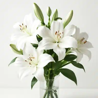 Lirios - Floristería en Bogotá - Domicilios de Flores